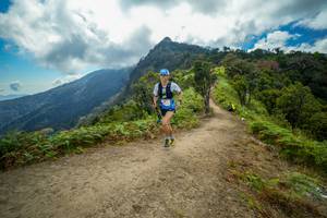 BIB: 104
                            <button type="button" onclick="openModal(16021857)" class="btn btn-primary btn-sm float-right btn-popup" data-toggle="modal" data-target=".modal-high-quality">
                        <i class="fas fa-shopping-cart"></i> Add to Cart
                    </button>
                                            <button type="button" onclick="isThisMe(16021857, true)" class="btn btn-success btn-sm float-right btn-popup btn-isme hidden" data-toggle="tooltip" data-placement="bottom" title="นี่คือรูปของคุณใช่ไหม คลิกที่นี่เพื่อเอาเข้าอัลบั้ม">
                        <i class="fas fa-plus"></i> Add to album
                    </button>
                    <button type="button" onclick="isThisMe(16021857, false)" class="btn btn-warning btn-sm float-right btn-popup btn-isnotme hidden">
                        <i class="fas fa-ban"></i> Remove from album
                    </button>